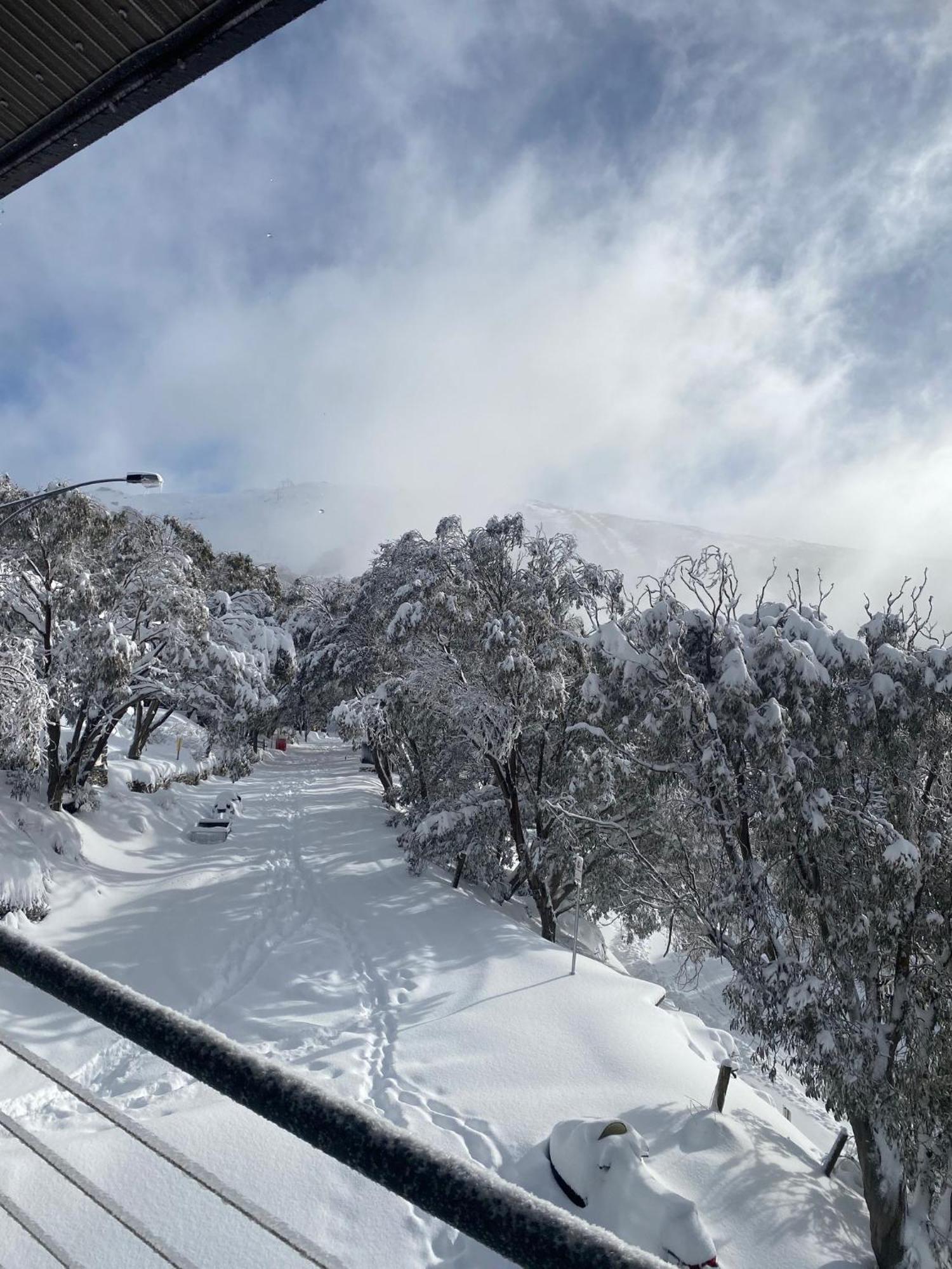 Alpine Woodsmoke Apartments Falls Creek Extérieur photo
